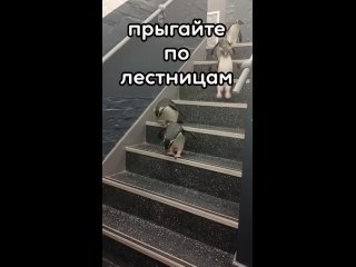 video file